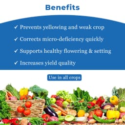 FMC Cazbo (Calcium 21% + Zinc 1.5% + Boron 0.1%) Micronutrient, Helps Plants Build Cell Wall Structure and Strength, Use for All Crops. 4