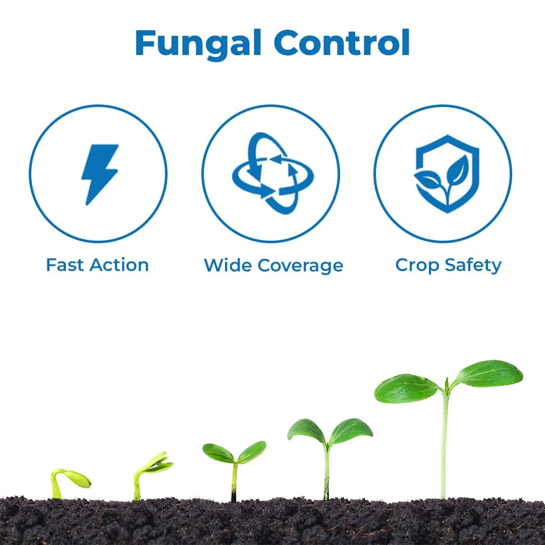 रेन हेक्सारिन प्लस - हेक्साकोनाज़ोल 5% एससी, सिस्टमिक फफूंदनाशक, पाउडरी मिल्ड्यू और शीथ ब्लाइट के खिलाफ उपयोगी, सभी फलों और सब्जियों के लिए सर्वोत्तम - Image 3