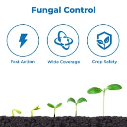 Rain Hexarin Plus Hexaconazole 5% SC, Systemic Fungicide, Useful Against Powdery Mildew And Sheath Blight, Best For All Fruits And Vegetables 3