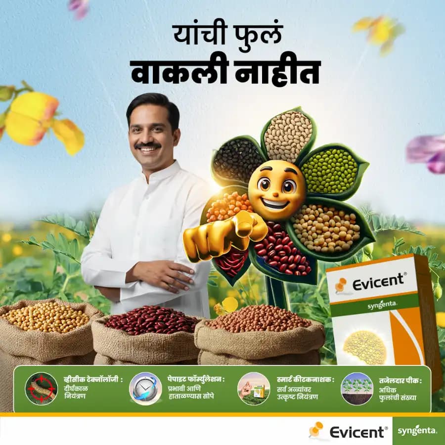 Syngenta Evicent Emamectin Benzoate 5% + Lufenuron 40% WG Insecticide, Effective For Lepidopteran, FAW, DBM, Helicoverpa Pests Control - Image 5