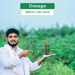 Krishi Rasayan Paushak Gold Gibberellic Acid 0.001% Plant Growth Regulator, Enhances The Yield & Increase Seed Germination. 5