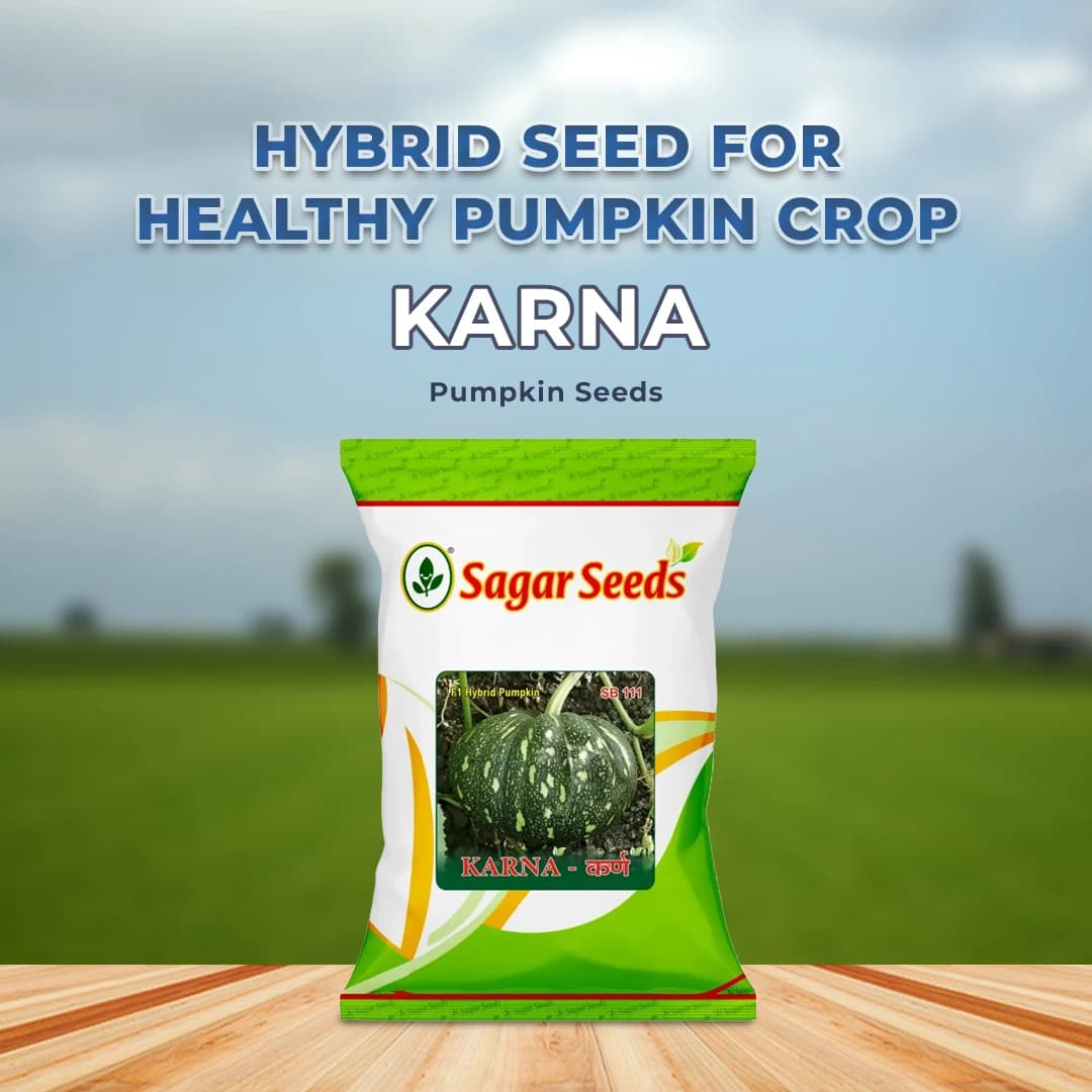 Sagar Karna F1 Hybrid Pumpkin Seeds, Attractive Green Color Fruits, High Yielding Variety - Image 2