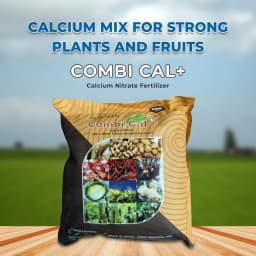 Aries Agro Combi Cal + Calcium Nitrate Fertilizer, 100% Water-Soluble, Efficient For Better Growth And Healthy Plants 2