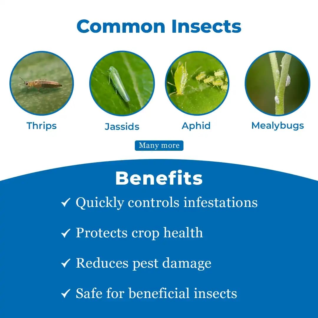 Pest Out Sucking Pest Controller Like., Thrips, Jassids, Hopper, Aphid, Whitefly, Mealy Bugs and Different Types of Pest - Image 3
