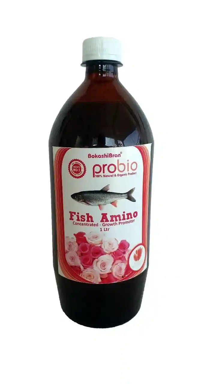 Fish Amino Concentrate. A good fertilizer for applying both to soil and foliage. It enhances the growth of crops during their vegetative period