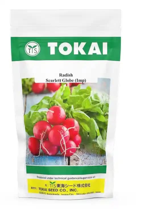 Tokai Imported Radish Scarlett Globe Seeds, Muli Ke Beej, Videsi Muda Na Bee. - Image 1