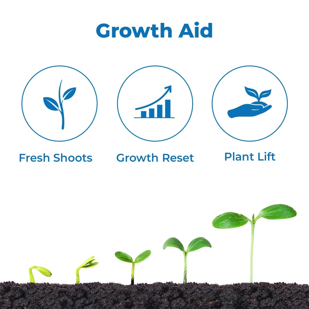 Agriventure Humitite Plus (Humic Acid 10%, Amino Acid 5%, Fulvic Acid 6%, Seaweed Extract 6%, Bioenzyme 3%) Best PGR For All Plants - Image 3