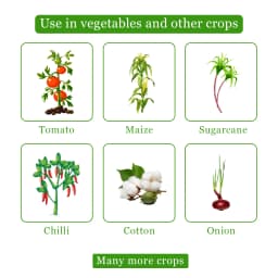 SML Hybritz Azoxystrobin 18.2% and Difenoconazole 11.4% SC Fungicide for Comprehensive Disease Control 4
