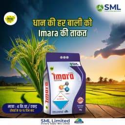 SML Imara Fipronil 0.6% + Sulphur 70% + Zinc 13% WG Systemic and Contact Insecticide 9