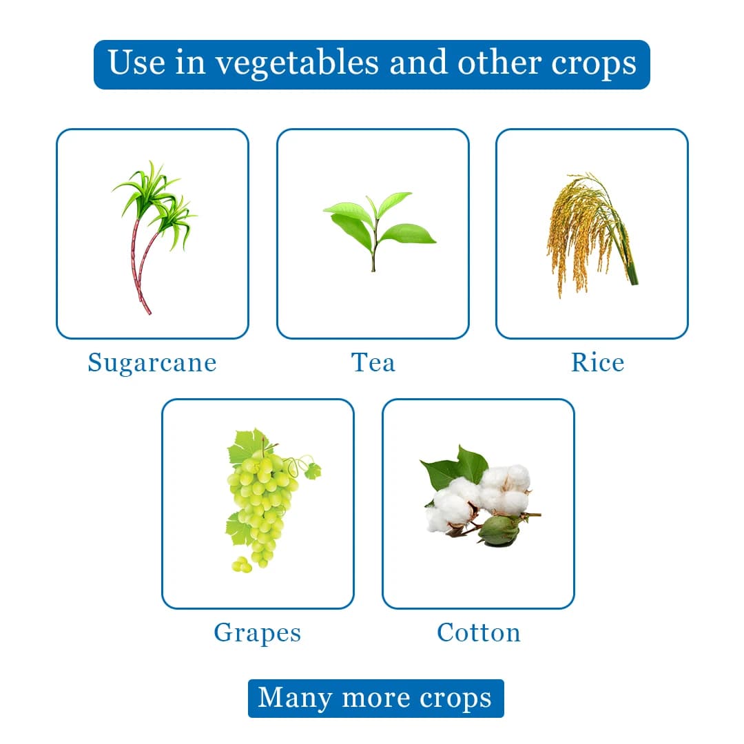 Best Agrolife Ghotu Clothianidin 50% WG Insecticide, Broad Spectrum Insecticide, Use For Grapes, Cotton, Sugarcane, Tea and Rice - Image 4