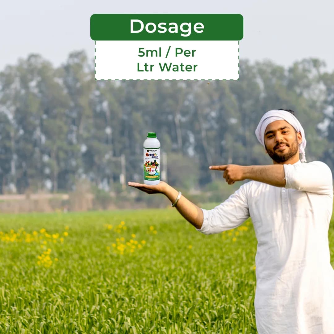 Nutrigold - Liquid Fertilizer, Bio-Active Microbial Fertilizer, For Increasing Ability Of Crops - Image 5