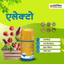 Indofil Alecto Broflanilide 20% SC Contact and Translaminar Insecticide, Control On Lepidopteran Pests 7