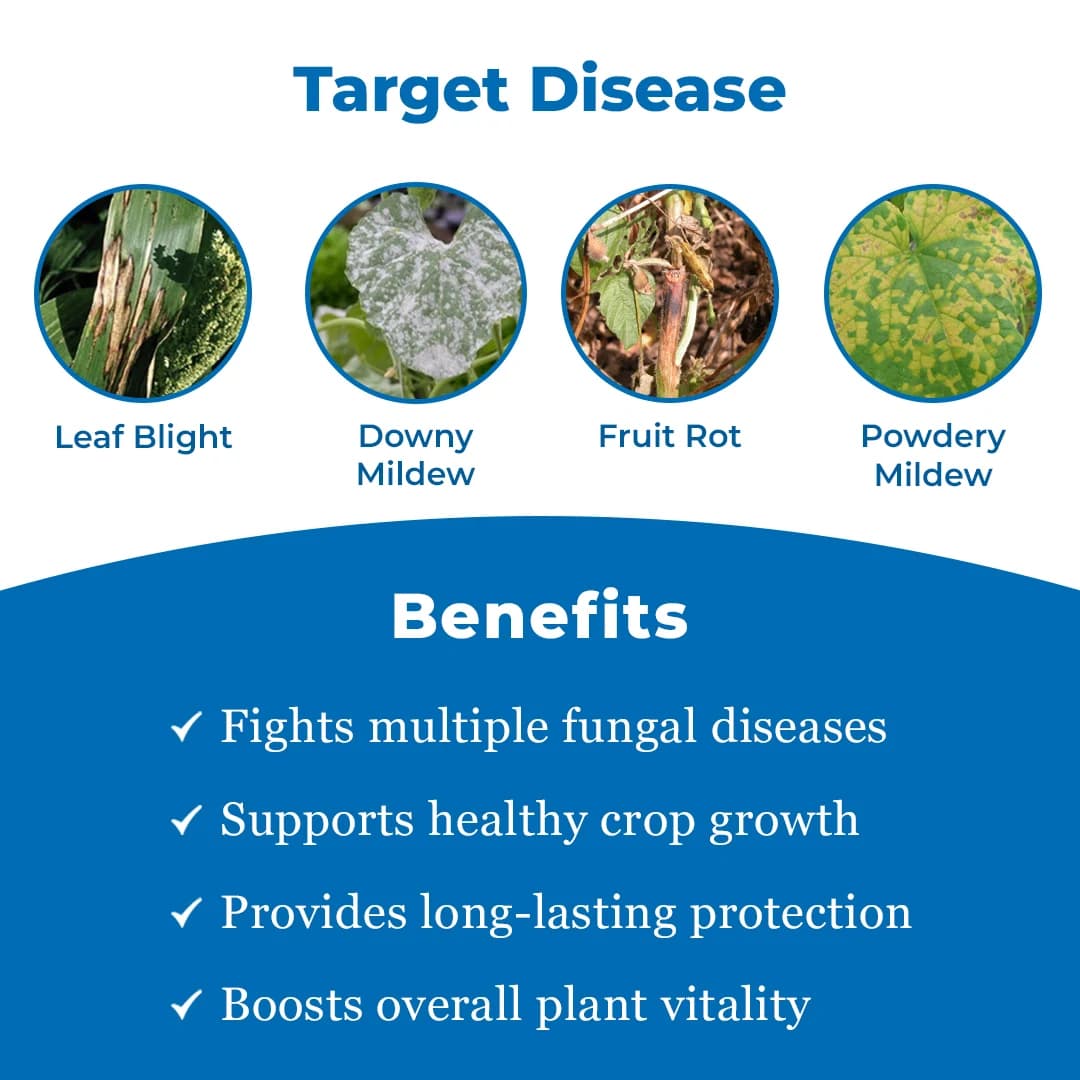 UPL Saaf Fungicide - Carbendazim 12% + Mancozeb 63% WP - Image 3
