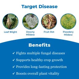 UPL Saaf Fungicide - Carbendazim 12% + Mancozeb 63% WP 3