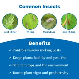 साइटो प्लस - रस चूसक कीट नियंत्रक, चूसक कीटों विशेषकर लीफ माइनर, थ्रिप्स, मेले बग आदि का प्रभावी नियंत्रण। 3