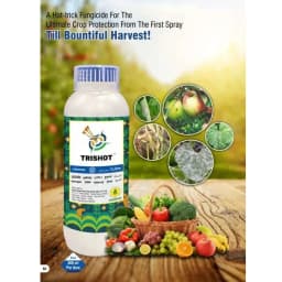 Sudarshan Trishot Trifloxystrobin 10% + Difenconozole 12.5% + Sulfur 3% SC Fungicide, Effective Against A Wide Range Of Fungal Diseases 3