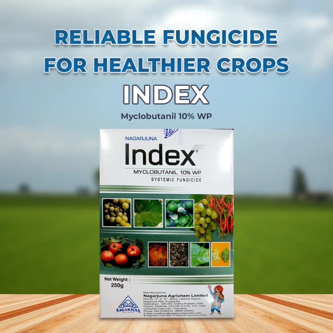 Nagarjuna Index Myclobutanil 10% WP Systemic Fungicide, With Broad Spectrum Activity To Fight Fungal Cell - Image 2