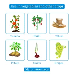 Adama Custodia Fungicide - Azoxystrobin 11% + Tebuconazole 18.3% SC 4