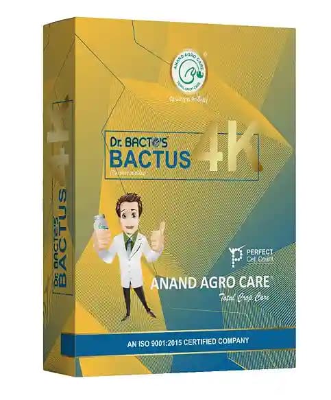 Dr. Bacto\'s Bactus 4K Bacillus Subtilis Bio-Fungicide, Inhibits Growth of Plant Fungal Pathogens and Helps to Enhance the Growth and Immunity of Plant