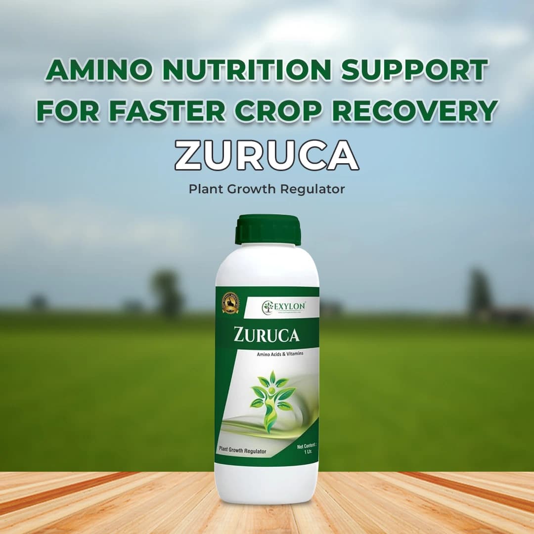 Exylon Zuruca Amino Acid & Vitamin Plant Growth Regulator, Bio-Stimulant for Growth & Stress Resistance For All Crops - Image 2
