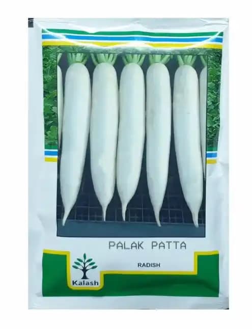 Kalash Radish Palak Patta KSP 80 Hybrid Seeds, Palak Patta Variety For Kharif Season - Image 1