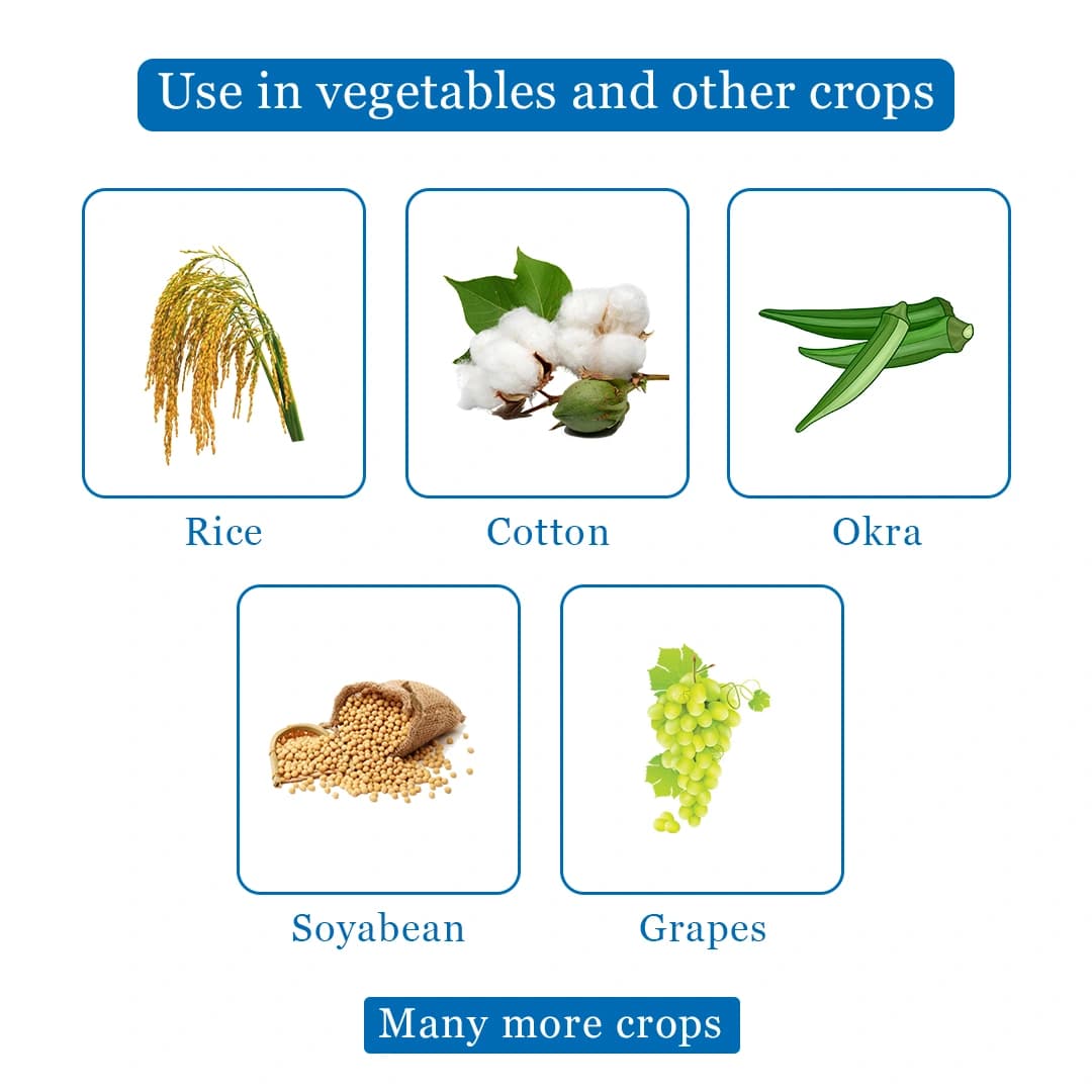 Dhanuka LARGO Spinetoram 11.7% SC Insecticide, Effective For Thrips And Caterpillar Control In Crops - Image 4