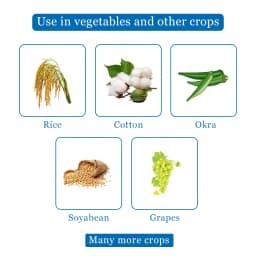 Dhanuka LARGO Spinetoram 11.7% SC Insecticide, Effective For Thrips And Caterpillar Control In Crops 4