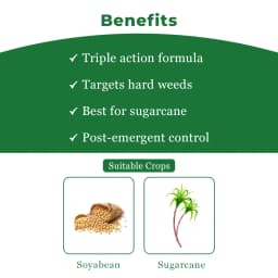 Swal Trishuk 2,4-D Sodium Salt 440 Metribuzin 350 Pyrazosulfuron-Ethyl 10 WG One-shot solution for weed management in sugarcane 3