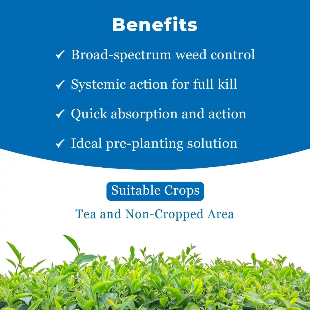 Gly-71 Herbicide - Ammonium Salt of Glyphosate 71% SG - Image 4