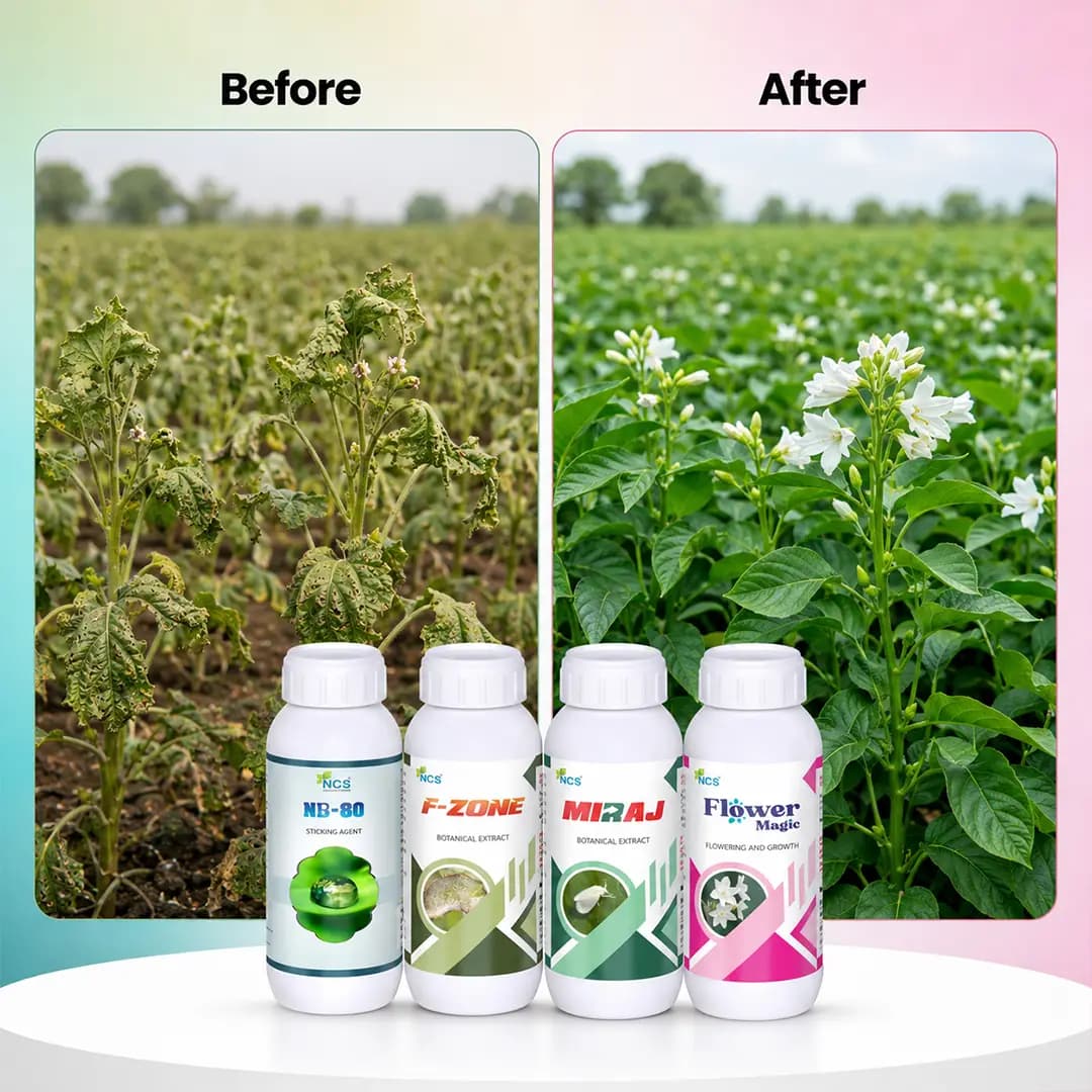 Suraksha Kit Sucking Pest Control at Flowering Stage 45-80 Days (F-Zone 250 ML + Miraj 250 ML + Flower Magic 250 ML + NB 80 250 ML) - Image 6