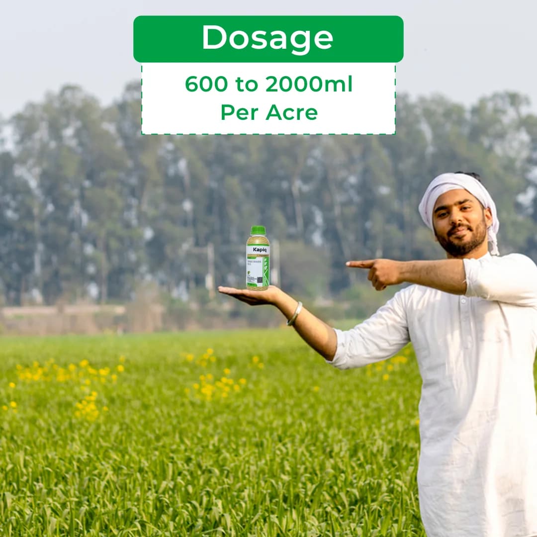 Krishi Rasayan Kapiq Paraquat Dichloride 24% SL Herbicide, Classified Broad Spectrum, Non Selective For Cotton, Tea And Potato - Image 5