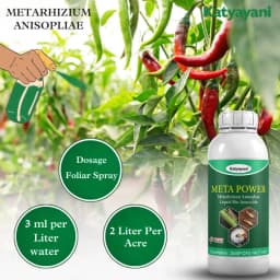 Katyayani Meta Power Metarhizium Anisopliae, Liquid Bio Insecticide, Effective Against a Broad Spectrum of Insects 4