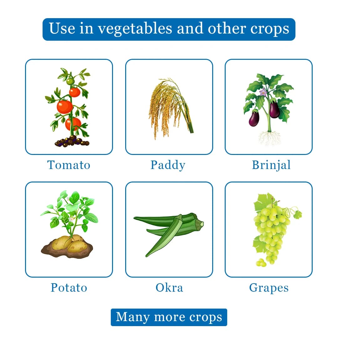 UPL Ulala (Flonicamid 50% WG) Novel Solution for Sucking pest management with unique mode of action - Image 4