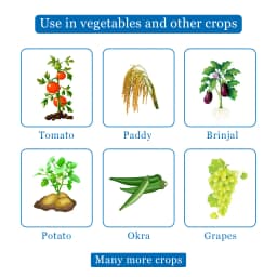 UPL Ulala (Flonicamid 50% WG) Novel Solution for Sucking pest management with unique mode of action 4