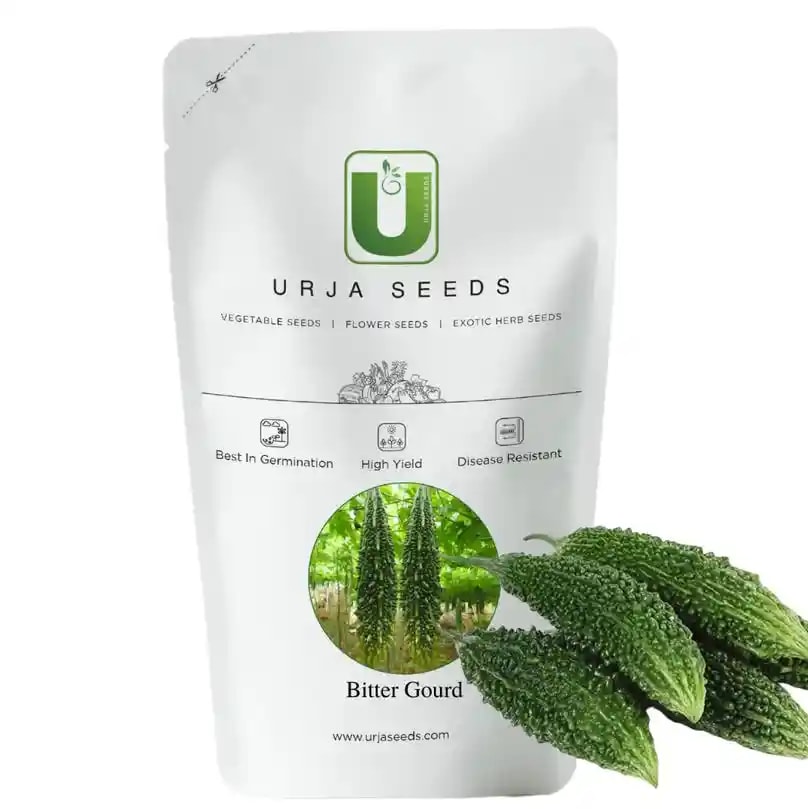 Urja Bitter Gourd Green Long Special Seeds, Excellent Germination Quality, Agribegri