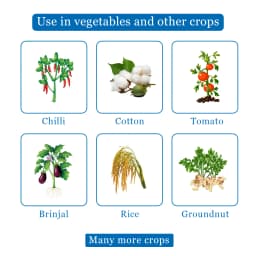 Bacf Sanda Lambda Cyhalothrin 5% EC Insecticide, Contact And Systematic Action 4