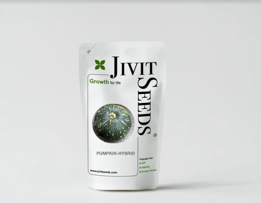 Jivit JS Small Round Pumpkin Seeds - (Kaddu Seeds) Vigorous Growing Vines, Semi Round Fruits