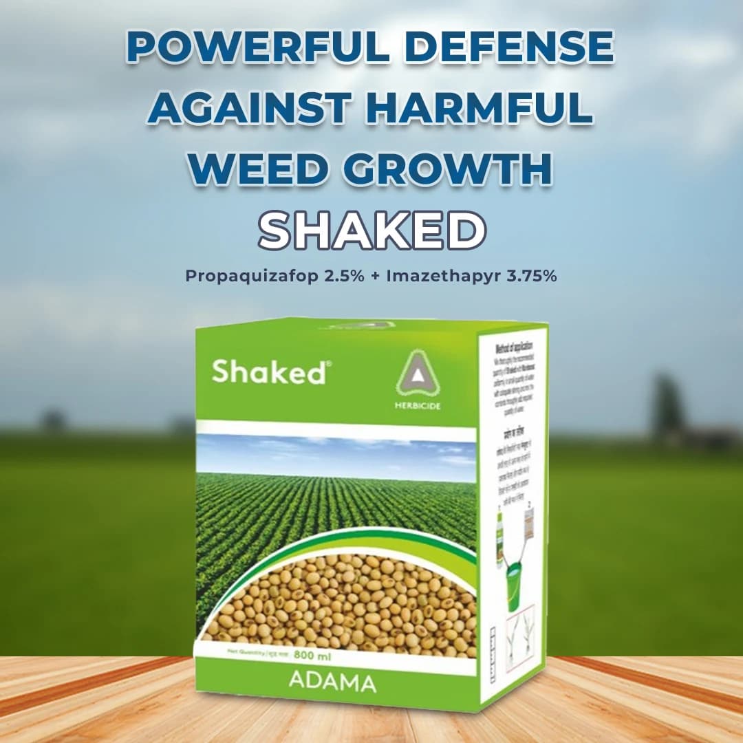 Adama Shaked Herbicide - Image 2