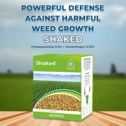 Adama Shaked Propaquizafop 2.5% + Imazethapyr 3.75% , Post Herbicide With Broad Spectrum Activity. 2