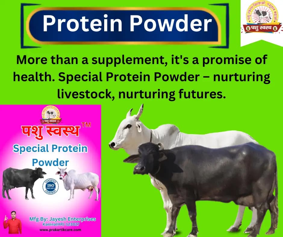 PASHU SVASTH SPECIAL PROTEIN POWDER, Efficient For Muscle Strength & Metabolism In Cattle - Image 5
