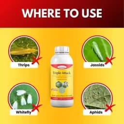 Katyayani Triple Attack Bio Pesticide, Verticillium Lecanii + Beauveria Bassiana + Metarhizium Anisopliae (Liquid) 4