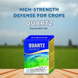 Gharda Quartz Fipronil 80% WG Insecticide, Effective Control Of Stem Borer and Leaf Folder In Rice 2