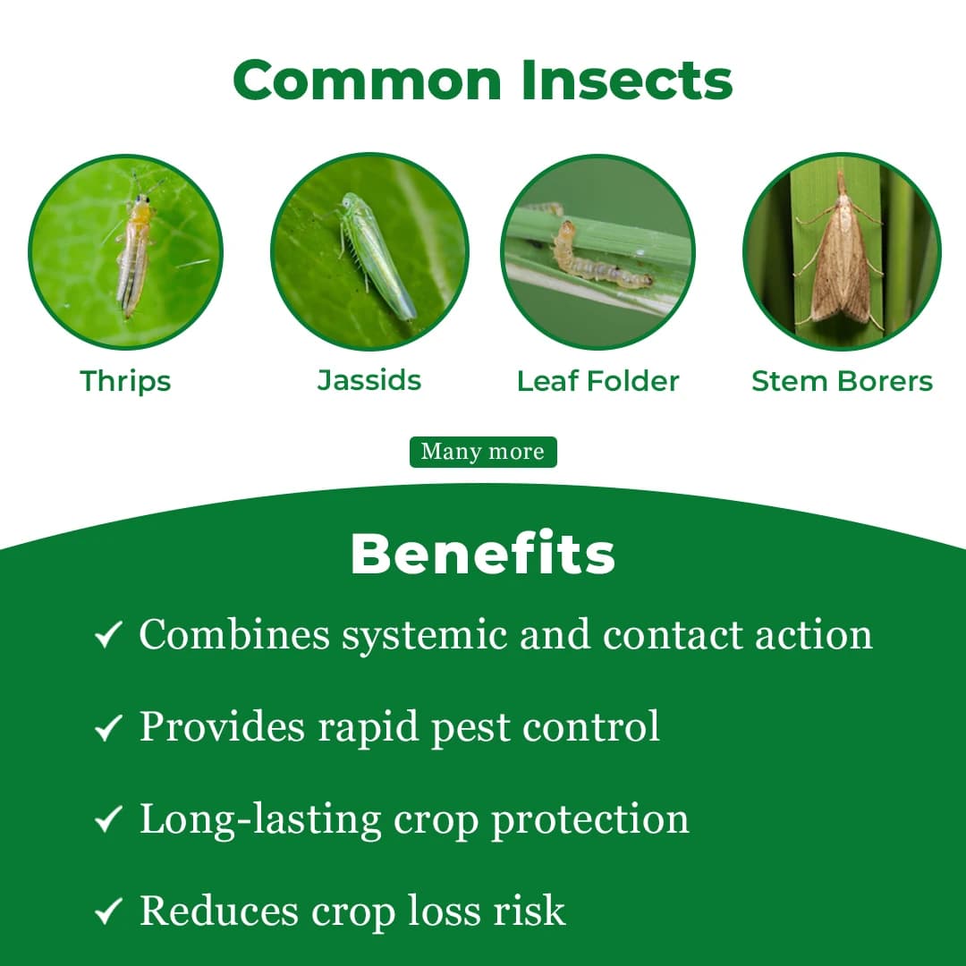 हमला 550, क्लोर्पिरीफॉस 50% + सायपरमेथ्रिन 5% ईसी कीटनाशक: सिस्टेमिक और संपर्क क्रिया। - Image 3