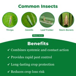 Gharda Hamla 550 Chlorpyriphos 50% + Cypermethrin 5% EC Insecticide, Systemic and Contact Action 3
