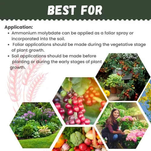 Katyayani Ammonium Molybdate 52% Organic Fertilizer, Corrects Molybdenum Deficiency in Crops, Promotes Overall Plant Growth and Yield - Image 5