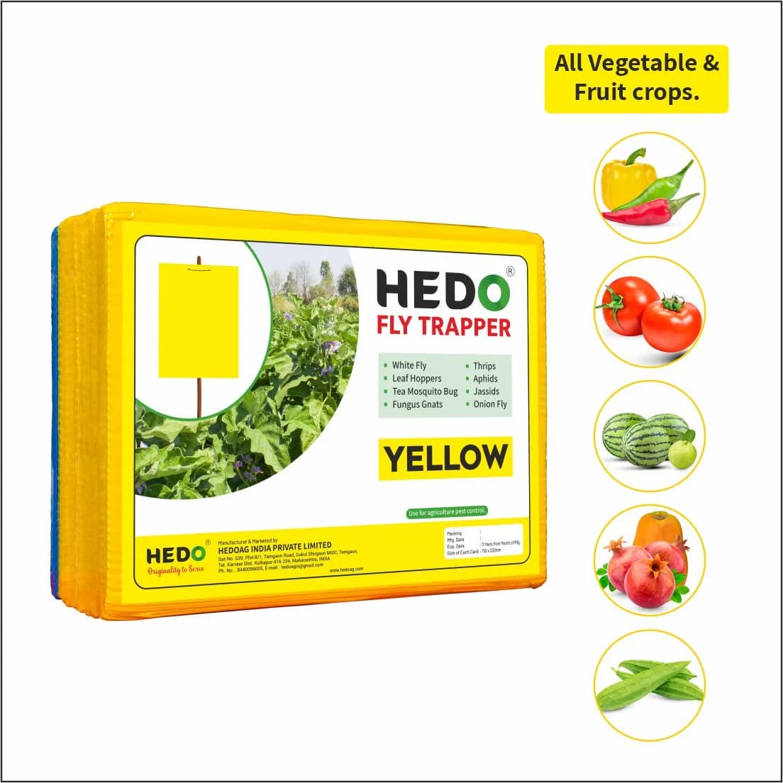 HEDO Eco Sticky Trap A5 Size, 20 Yellow and 5 Blue Mix Sticky Trap For The Insects, Best For Organic Vegetable And Fruits Farming Pest Control - Image 3