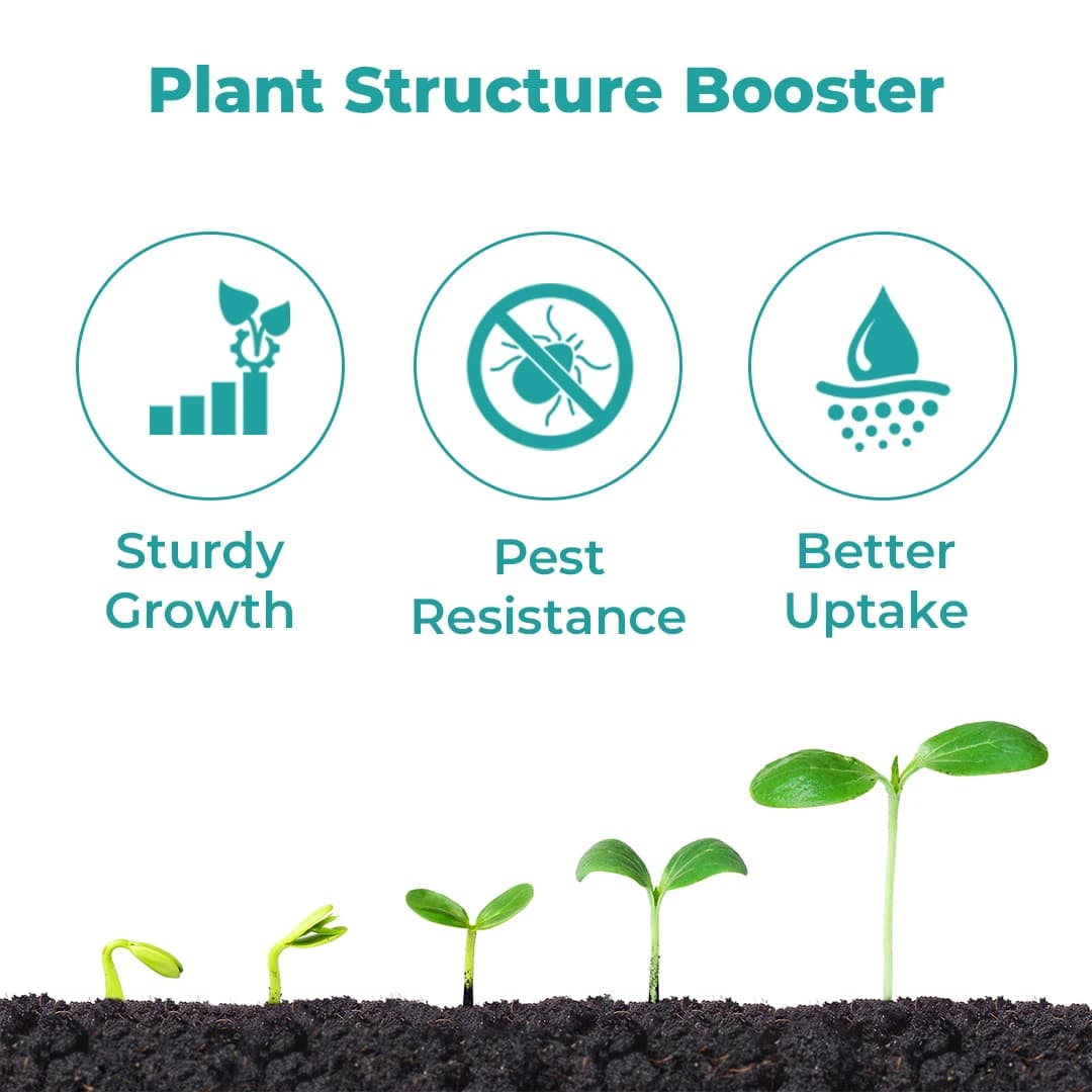 UPL Gainexa - Ortho Silicic Acid - Image 3