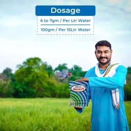 सुमितोमो एक्सेल मेरा 71 प्रणालीगत खरतपरवारनाशक, ग्लाइफोसेट के अमोनियम लवण 71% एसजी, गैर-चयनात्मक, पोस्ट इमर्जेंट खरतपरवारनाशक 5