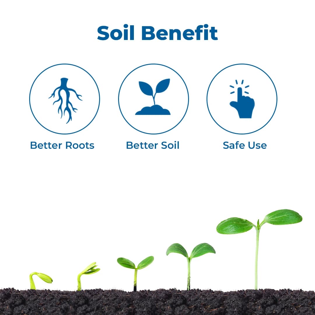 EBS Sulphur & Iron Bacteria Bio Fertilizer, Use for Plants, Crops, Nursery and Home Garden - Image 3