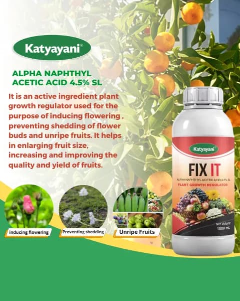 Katyayani Fix IT Alpha Naphthyl Acetic Acid 4.5% SL Plant Growth Regulator, Liquid For Chilli, Mango - Image 2